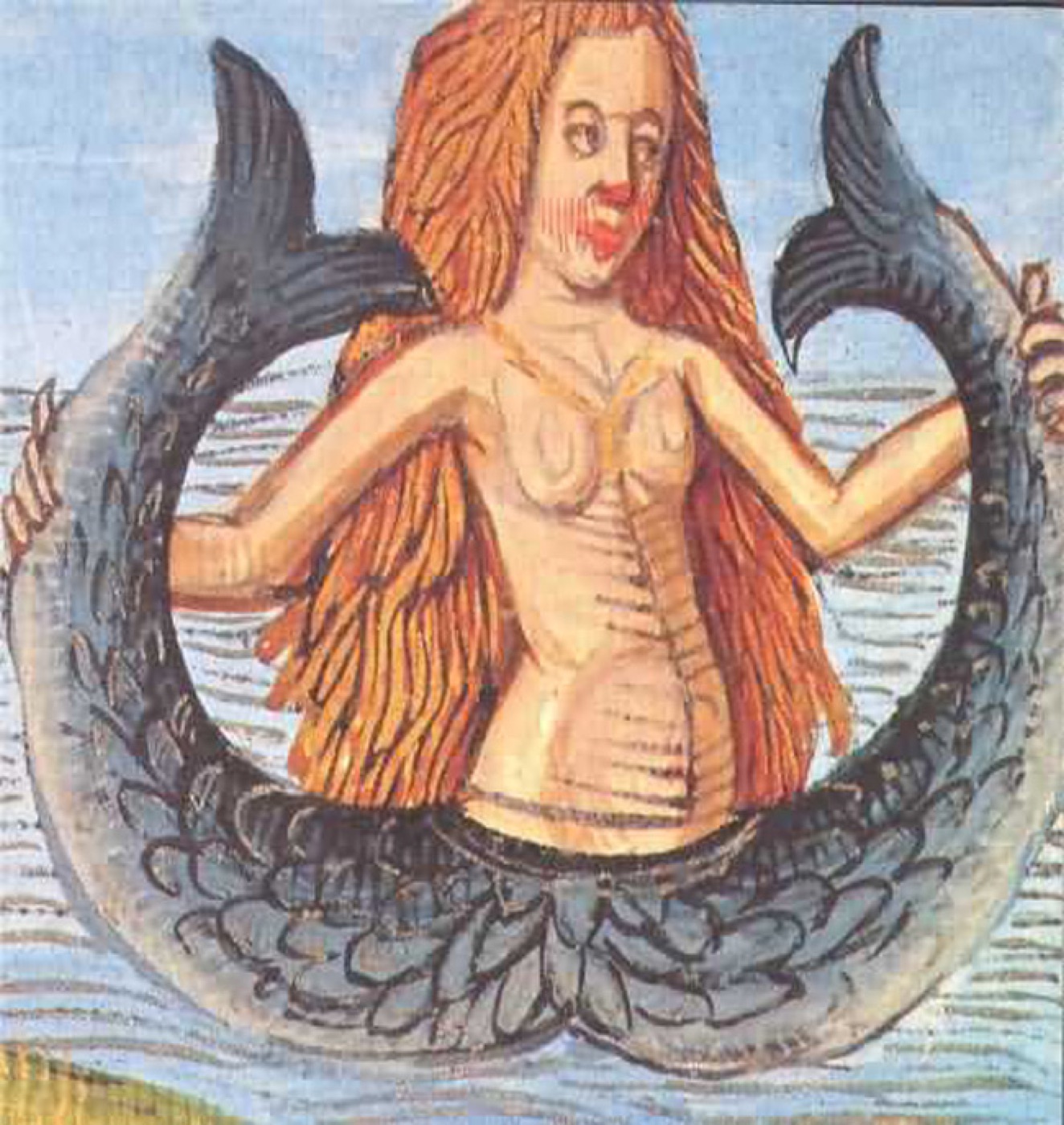 A twin-tailed siren from the Hortus Sanitatis, 1491